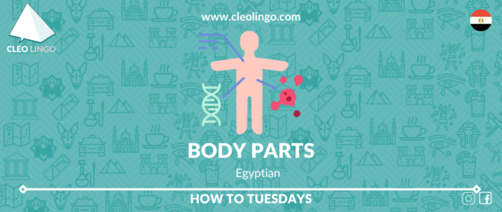 How to talk about your body in Egyptian Arabic